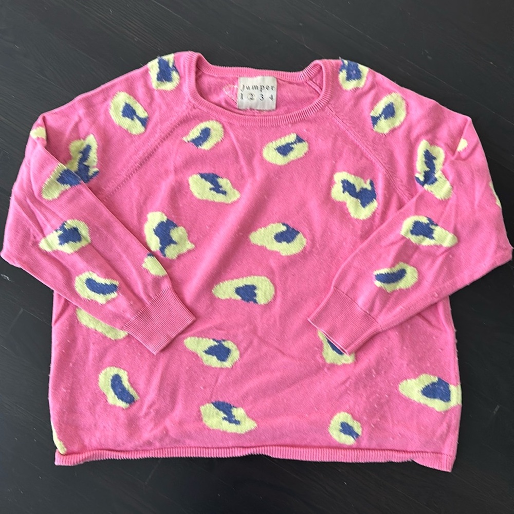 Jumper 1234 Pink and Blue/Yellow Animal Print-ish Sweater